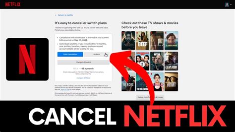 can you put netflix on hold|can you cancel netflix anytime.